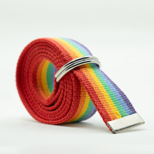 Striped D Ring Webbing Canvas Belt | Rainbow